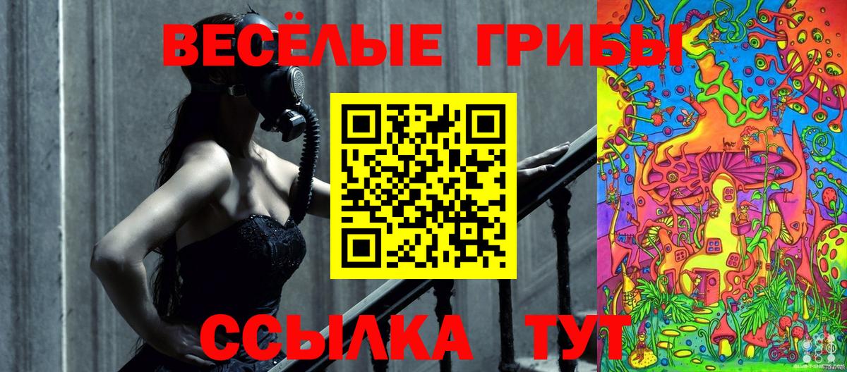 Псилоцибиновые грибы Cubensis Лысьва