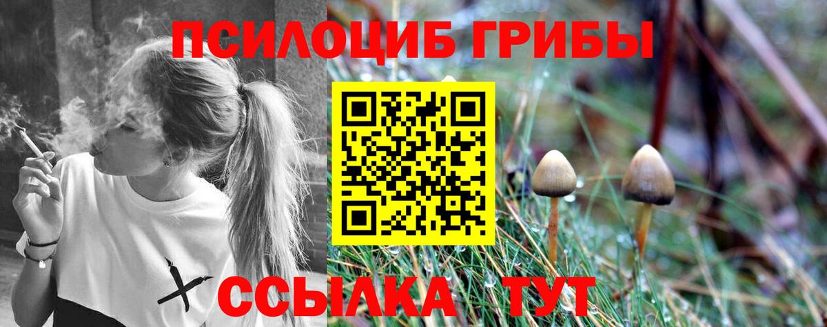 Псилоцибиновые грибы мицелий  Вход с VPN  Лысьва  продажа наркотиков  Псилоцибиновые грибы Psilocybine cubensis 